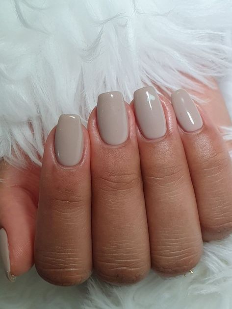 Nail Designs Work Appropriate, Shorter Dip Nails, Gel Nails Neutral Colors Classy, Fall Nail Inspo Short Simple, Short Nail Colour Ideas, Short Nail Designs Plain Color, Shalack Nails Short, Short Plain Acrylic Nails Simple Colour, Basic Fall Nails Short