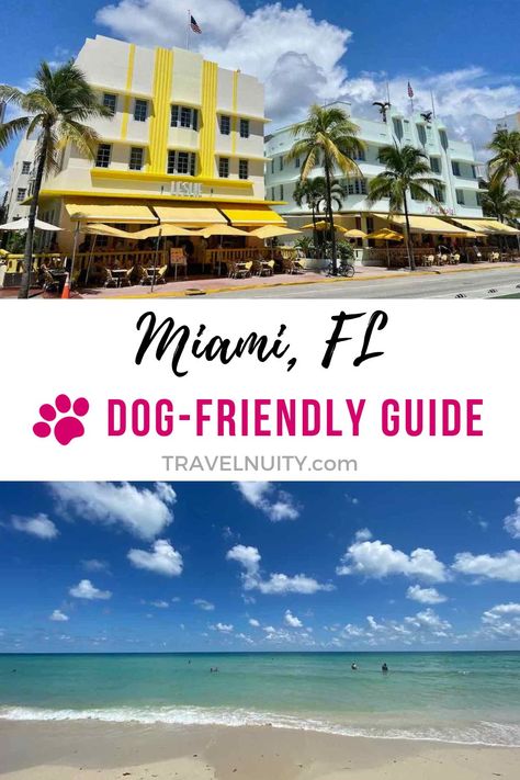 Find out what to do when visiting Miami with dogs, including dog-friendly places in Miami and tips on where to dine out and stay Dog Friendly Florida, Visiting Miami, Michigan Dog Friendly Places, Dog Science, Dog Friendly Vacation East Coast, Places In Miami, Dog Friendly Beaches In Florida, Pet Friendly Vacations, Flying Dog