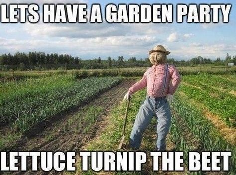 The Host is Out Standing in His Field - "Let's have a garden party. Lettuce Turnip the Beet." The Awkward Yeti, Farm Humor, Insta Memes, Memes Humor, Have A Laugh, E Card, Funny Puns, I Feel Good, Laughing So Hard