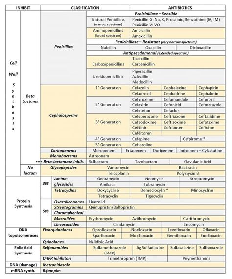 Charting For Nurses, Nursing School Studying Cheat Sheets, Med School Study, Nursing Cheat Sheet, Clinical Nurse Specialist, Prp Therapy, Nclex Study, Med Vet, Basic Anatomy And Physiology