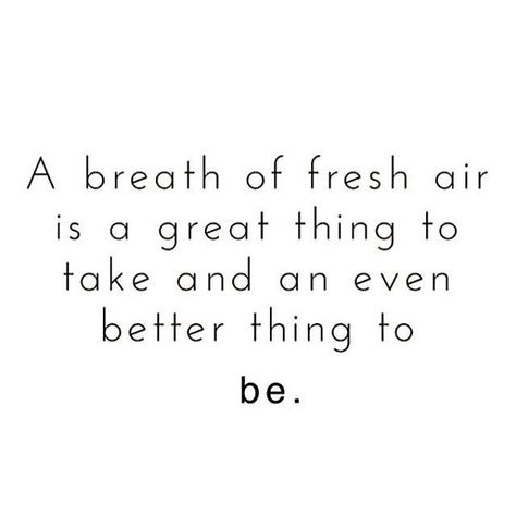 Air Quotes, I Quit Sugar, Quit Sugar, A Breath Of Fresh Air, I Quit, Breath Of Fresh Air, Take A Breath, Fresh Air, This Weekend