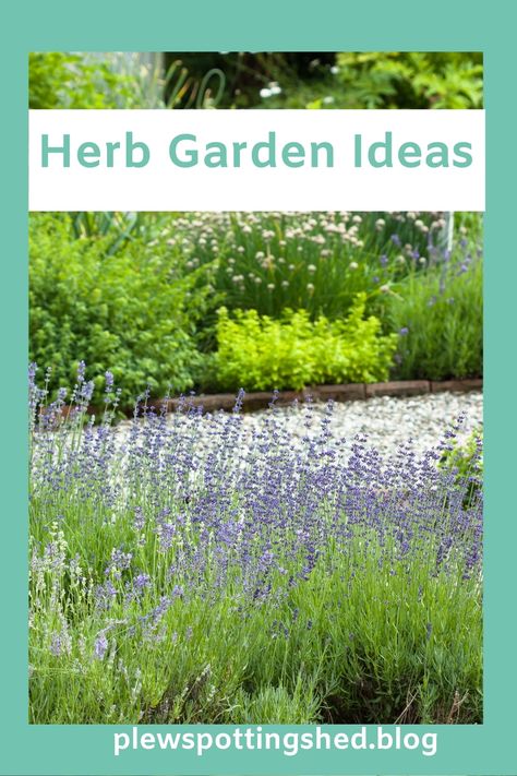 Herb Garden Border, Small Herb Garden Design Layout, Herbs In Pots, Garden Ideas Uk, Herb Garden Ideas, Chives Plant, Herb Garden Markers, Container Herb Garden, Small Herb Gardens