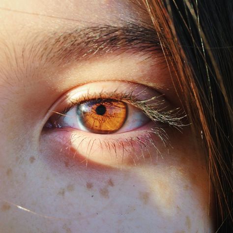 Pinterest: @ashlynxx127 Brown Eyes Aesthetic Wallpaper, Eyes Aesthetic Wallpaper, Brown Eyes Aesthetic, Eyes Aesthetic, Brown Eyes, Aesthetic Wallpaper, Close Up, Orange