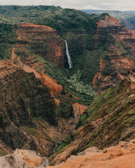 What to know about the Kukui Trail in Kauai's Waimea Canyon | Hawaii Magazine Kauai Hiking, Hues Of Green, Hawaii Magazine, Kauai Vacation, Travel Hawaii, Hawaii Pictures, Hawaii Travel Guide, Waimea Canyon, Oceania Travel