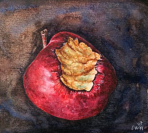 Excited to share this item from my #etsy shop: Apple watercolor painting,red apple,kitchen art,watercolor still life Rotting Fruit Painting, Rotten Apple Painting, Rotting Apple Drawing, Decaying Fruit Art, Rotting Fruit Art, Decay Art A Level, Apple Fruit Art, Decaying Art, Growth And Decay Art