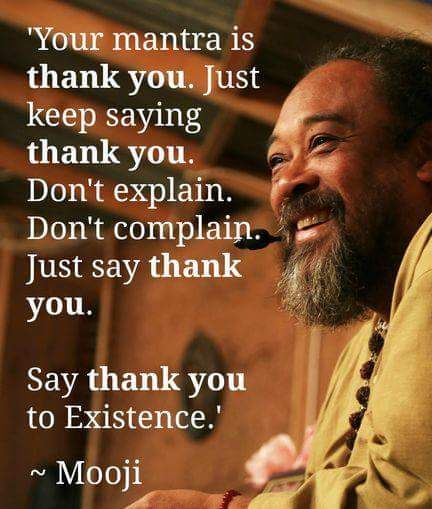 Mooji Quotes, Spiritual Awakening Quotes, Awakening Quotes, Meditation For Beginners, Meditation Quotes, Spiritual Enlightenment, Spiritual Inspiration, Spiritual Awakening, Famous Quotes