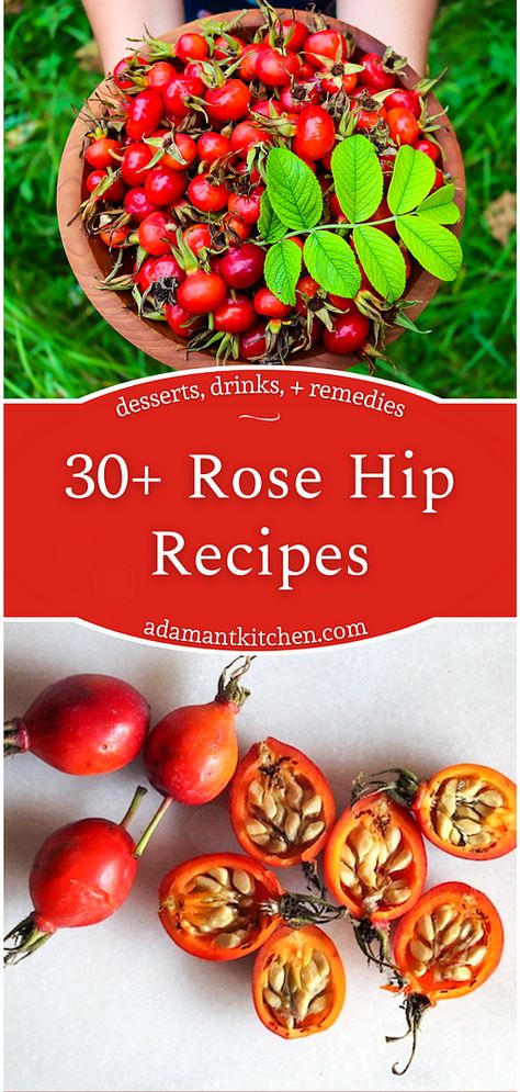 Rose Hip Recipes, Rose Hip Jelly, Rose Hips Benefits, Rosehip Recipes, Healing Tea Recipes, Gooseberry Recipes, Rosehip Tea, Edible Flowers Recipes, Berry Recipes