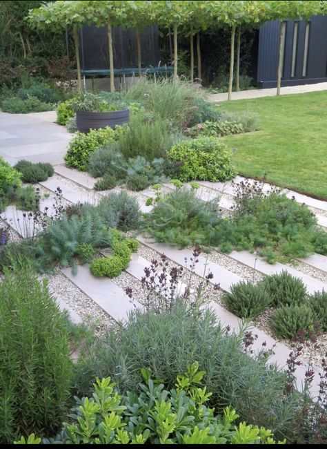 Charlotte Rowe, Mediterranean Garden Design, Naturalistic Garden, Contemporary Garden Design, Courtyard Gardens Design, Back Garden Design, Garden Paving, Dry Garden, Gravel Garden