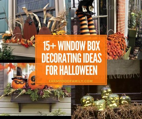 30+ Awesome DIY Deck Railing Designs & Ideas For 2019 Window Box Decorating Ideas, Box Decorating Ideas, White Kichen, Window Boxes Ideas, Terra Cotta Pots Garden, Repurpose Projects, Fall Window Boxes, Entryway Decor Small, Diy Porch Decor