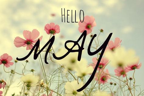 Hello May - Love to be in the Kitchen Hello May Quotes, Welcome May, May Quotes, Seasons Months, Birthday Girl Quotes, Days And Months, Happy May, Hello May, Fb Covers