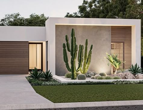 Modern Residential Architecture, Pool Villa, Modern Exterior House Designs, Texas House, Desert Homes, Casa Exterior, Have Inspiration, Yard Design, Cactus Garden