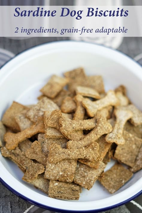 Sardine Dog Treats, Sardine Dog Treat Recipe, Tuna Dog Treats, Grain Free Dog Treat Recipes, Tinned Sardines, Oat Dog Treats, Dog Biscuit Recipe, Tuna Dog, Grain Free Dog Treats