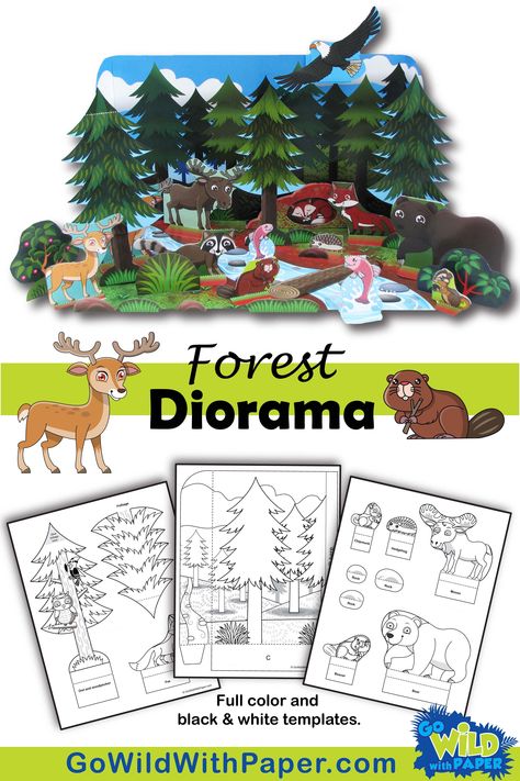 Animal Habitat Art And Craft, Woodland Habitat Diorama, Deciduous Forest Diorama, Woodland Forest Diorama, Coniferous Forest Biome Project, Fox Diorama Habitat, Forest Habitat Activities, Diorama Animal Habitat, Animal Diorama Habitats