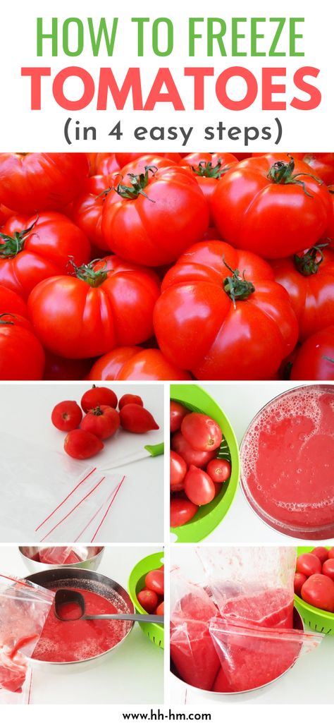 How to freeze tomatoes and how to make tomato juice that is simple and very versatile! Freezing tomatoes is an easy option when it comes to preserving tomatoes, follow these simple steps to freeze your fresh tomatoes in 15 minutes, so you can have fresh tomato sauce during fall and winter! Add it to your favorite tomato recipes like lasagna, soups, chili or rice dishes! Freeze Tomato Sauce, Freezer Vegetables, How To Freeze Tomatoes, Tomato Sauce From Fresh Tomatoes, Sauce From Fresh Tomatoes, Tomato Jelly, Freezing Tomatoes, Preserving Tomatoes, Italian Tomato Sauce