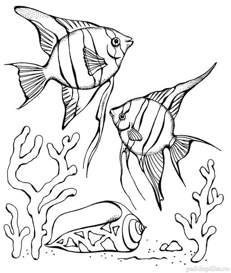 How To Draw Puffer Fish, Cool Ocean Drawings, Stingray Coloring Page, Cool Fish Drawing, Ocean Fish Drawing, Under The Sea Drawing, Sealife Drawing, Seascape Drawing, Under The Sea Drawings