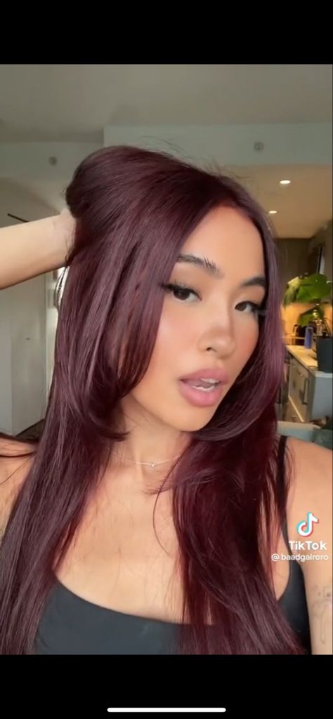 Burgundy Hair On Brunette, Skunk Strip Straight Hair, Natural Wine Red Hair, Burgundy Hair Olive Skin, Dark Red Hair On Asian, Dark Hair Color Ideas For Brunettes Red, Dark Wine Colored Hair, Sangria Red Hair, Black Cherry Hair Color Asian