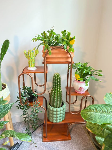 Cactus Corner Bookshelf and Plant Stand Retro Standing Shelf, Cactus Corner, Metal Corner Shelf, Plant Stand Indoor Rattan, Gold Tiered Plant Stand, 4 Tier Metal Plant Stand, Tall Metal Plant Stand Vintage, Corner Bookshelf, Rustic Bookcase