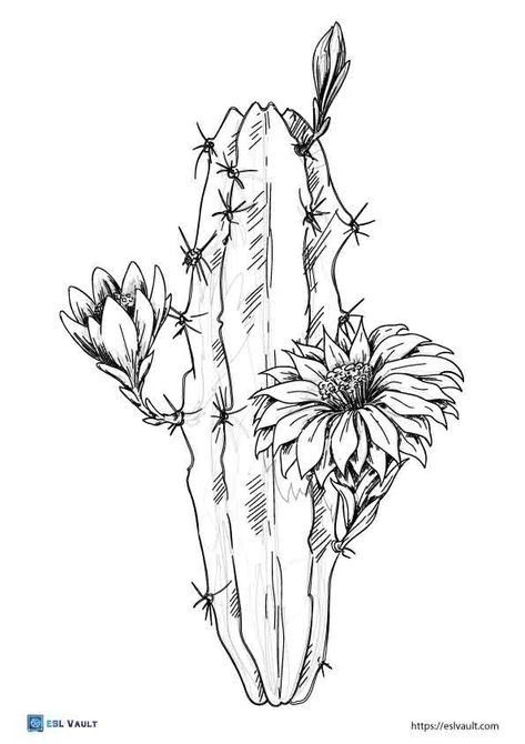 Cactus And Flowers Drawing, Cactus Outline Free Printable, Cactus Tattoo Stencil, Cactus Desert Drawing, Desert Flower Tattoo, Cactus Flower Drawing, Cactus Flower Tattoo, Cactus Coloring Page, Desert Drawing