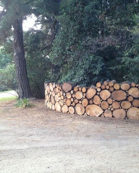 Pine Tree Fence Ideas, Pine Trees Along Fence, Stacked Wood Fence, Cut Down Tree Ideas, Pine Tree Landscaping Ideas, Cordwood Fence, Log Decor Ideas, Pine Tree Diy, Pine Fence