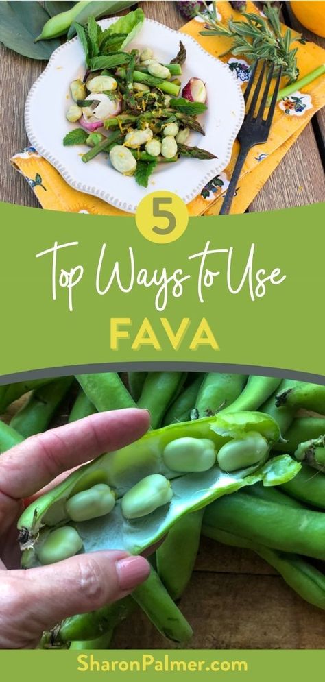 As they are so traditional, there are tons of interesting uses for these beans. In Egypt, they are used to make falafel, and in the Netherlands, they are eaten with herbs. The Pythagoreans were forbidden from eating, mentioning, or even looking at fava beans! However, we aren’t, and so let’s get into the Top 5 Ways to Use Fava Beans. #vegetarianrecipes #veganrecipes #vegetablesidedishes #favabeanrecipe #favabeansalad Faba Beans Recipes, Fave Beans Recipes, Favs Bean Recipes, Fava Bean Recipes, Fava Bean Recipe, Fava Beans Salad, Broad Bean Recipes, Make Falafel, Fava Beans Recipes