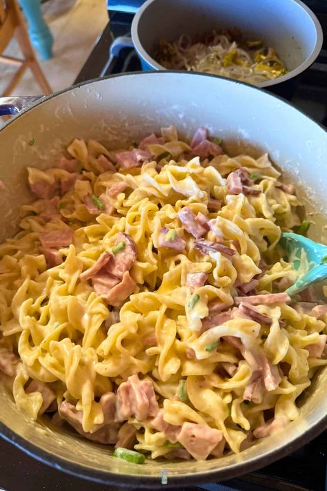 This creamy ham and egg noodle recipe is a treasure I recently found in my grandma's recipe box! With just a few simple ingredients you'll have dinner on the table in 30 minutes! Egg Noodle Recipe, Egg Noodle Casserole, Ham Casserole Recipes, Make Chicken Broth, Egg Noodle Recipes, Noodle Casserole Recipes, Noodles Recipes, Chicken Casserole Easy, Ham Casserole