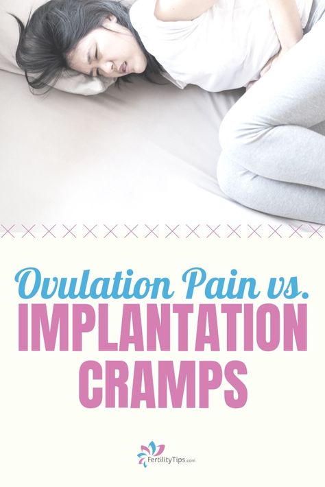 When it comes to abdominal cramps and discomfort a variety of factors can be the culprit, but here’s a look at two common ones, ovulation pain and implantation cramps, and details on how to tell them apart, and what that means if you’re trying to conceive. Implantation Cramps, Cramps During Pregnancy, Ovulation Pain, Cramp Remedies, Student Tips, Abdominal Cramps, Abdominal Discomfort, Pregnancy Info, Nursing Student Tips