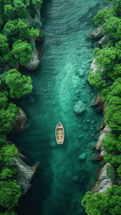 Green Nature Wallpaper, Jungle Photography, Amoled Wallpapers, Best Nature Wallpapers, Iphone Wallpaper Landscape, Dji Drone, Image Nature, Nature Wallpapers, Phone Wallpaper Images