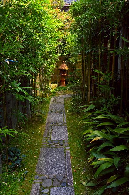 Kyoto - Garden | Luki Ki Fom | Flickr Kyoto Garden, Bamboo Trees, Japanese Zen Garden, Japan Garden, Japanese Garden Design, Asian Garden, Bamboo Garden, Garden Pathway, Green Garden