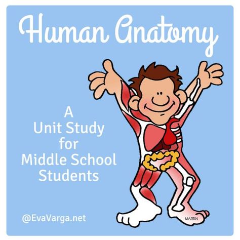 Hands-on activities and inquiry based labs that I use with my middle school students to introduce the human body systems or human anatomy. Middle School Anatomy Activities, Free Science Curriculum, Body Systems Middle School, Anatomy Resources, Homeschool Health, Science Middle School, Middle School Health, Stem Club, Homeschool Science Curriculum