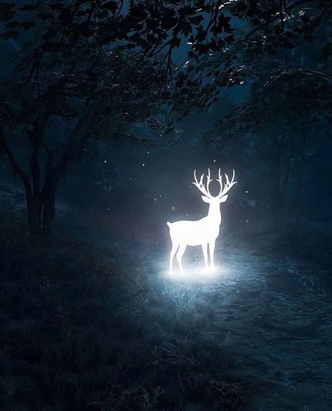 Deer Wallpaper, Deer Art, Earth Art, The Encounter, Mystical Creatures, Harry Potter Art, Dark Photography, Ethereal Art, 판타지 아트