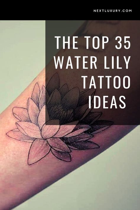 The water lily is a unique and elegant ornamental plant belonging to the family Nymphaeaceae. Water lilies, which are a water-growing plant that can bloom in mud, are the July birth flower and a popular motif for colorful and intricate tattoo art. #nextluxury #waterlilytattoo #flowertattoos #waterlilydesigns #bodyart Water Lily And Violet Flower Tattoo, Water Lily Butterfly Tattoo, Black And White Water Lily Tattoo, White Water Lily Tattoo, Water Lily Tattoos For Women, Water Lily And Dragonfly Tattoo, Frog Lily Pad Tattoo, Waterlilly Tattoo Arm, Waterlily Tattoos For Women