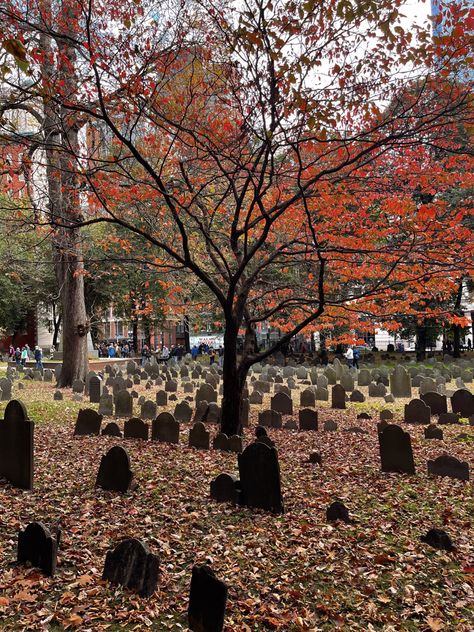 Fall Mystery Aesthetic, Boston Halloween Aesthetic, Boston Halloween, British Halloween, Fall Graveyard Aesthetic, East Coast Fall Aesthetic, Fall In Massachusetts Aesthetic, Fall Aesthetic New England, Halloween Town Aesthetic