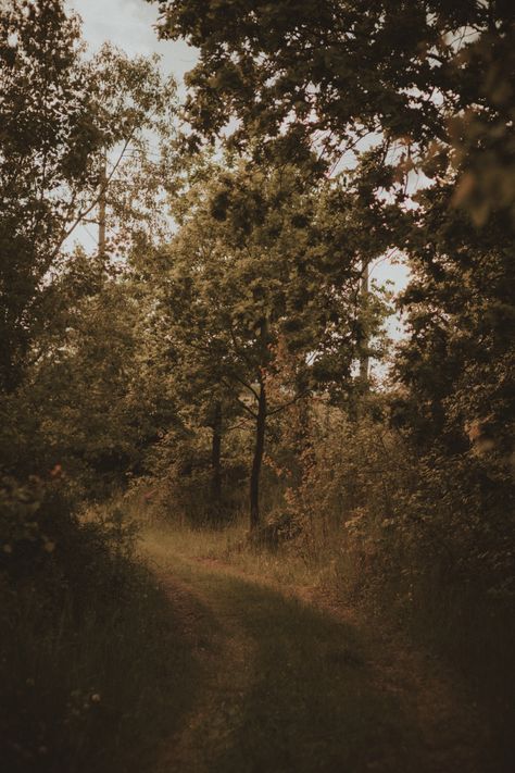 Folk Astethic, Country Roads, Road