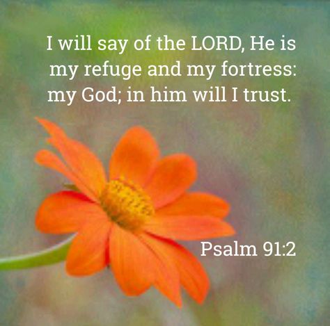 Psalm 91 Kjv, Psalm Verses, Scriptures Kjv, Psalm 141, Psalm 91 2, Psalm Scriptures, Psalm 91 1, Healing Verses, True Faith