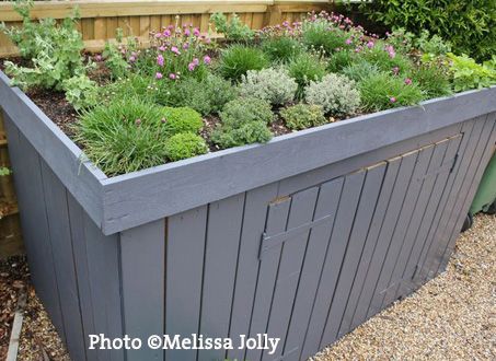 Daisy Landscaping, Armeria Maritima, Living Green Roof, Green Roof Garden, Green Roof House, Sedum Roof, Bin Shed, Alpine Strawberries, Log Store