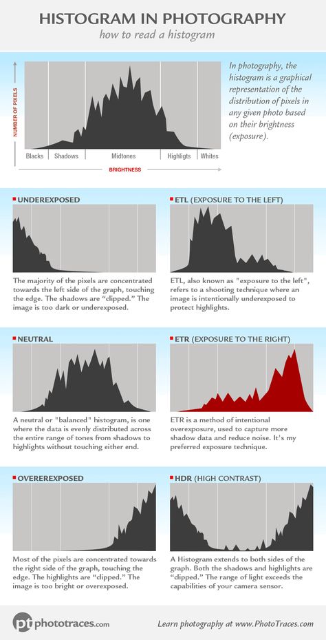 Histogram Chart, Photography Histogram, Histogram Photography, Info Grafis, Photography Lessons Tutorials, Photography Exercises, Camera Settings Cheat Sheet, Photography Infographic, Photography Cheat Sheet