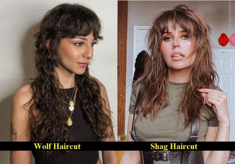 Wolf Cut Vs. Shag Cut Debate | Which One Is Better? Rachel Haircut, Easy Trendy Hairstyles, Shaggy Bob Haircut, Monochrome Makeup Look, Long Shag Haircut, Lob Haircut, Punk Hair, Shag Hairstyles, Wolf Cut