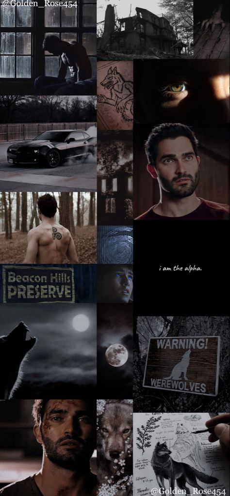 Wolf Pfp Aesthetic, Werewolf Aesthetic Wallpaper, Derek Hale Wallpaper Aesthetic, Tyler Hoechlin Aesthetic, Peter Hale Aesthetic, Tyler Hoechlin Wallpaper, Derek Hale Aesthetic, Derek Hale Icon, Kira Aesthetic