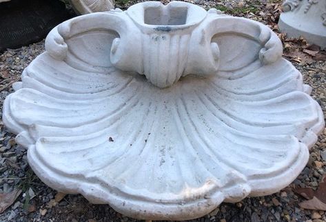 Shell Fountain, Pond Liner, Shore House, Yard Ornaments, Water Gardens, Garden Fountain, Small Patio, Oyster Shell, Water Plants