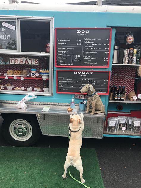 Dog Treat Food Truck, Dog Food Marketing, Dog Coffee Shop, Dog Food Truck, Dog Boutique Ideas, Dog Boarding Ideas, Dog Daycare Business, Indoor Dog Park, Pet Store Design