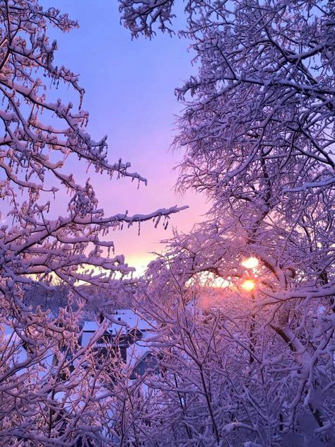 Light Purple Winter Aesthetic, Purple Winter Aesthetic, Purple Winter Wallpaper, Beautiful Winter Pictures, Winter Nature, Winter Sunset, Pretty Landscapes, Winter Wallpaper, Winter Scenery