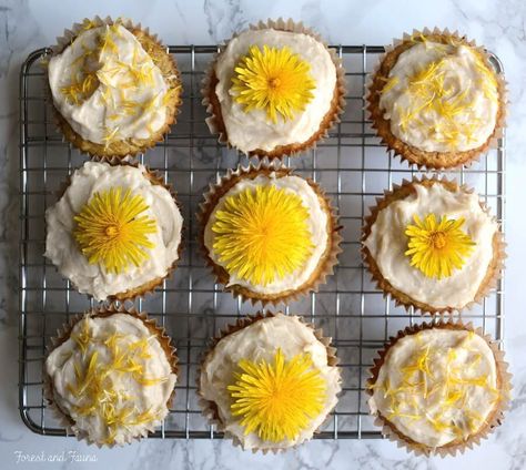 Dandelion and Lemon Paleo Cupcakes | 16 Amazing Dandelion Recipes To Make From Your Pulled Weeds Dandelion Greens Recipes, Cupcake Receptek, Gluten Free Cupcake Recipe, Paleo Cupcakes, Sweet Potato Patties, Roasted Dandelion Root, Dandelion Benefits, Gluten Free Cupcakes, Lemon Cupcakes