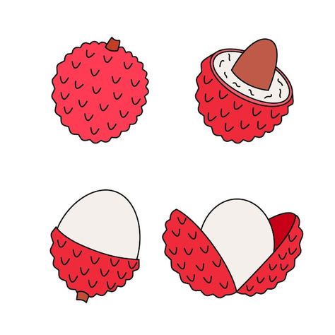 Lichi Fruit Drawing, Lychee Drawing, Lychee Illustration, Lychee Vector, Fruit Outline, Fruit Logo Design Ideas, Litchi Fruit, Fruit Doodle, John Kenn