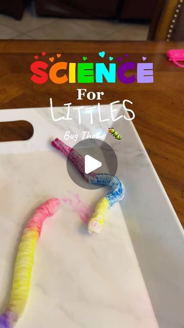 Tissue Paper Worms, Water Science Experiments Preschool, Cool Science Experiments For Preschoolers, Science Eyfs Activities, Worm Crafts For Toddlers, Science Sensory For Toddlers, Simple Craft For Preschoolers, Science Experiment For Kindergarten, Grade 1 Science Experiments