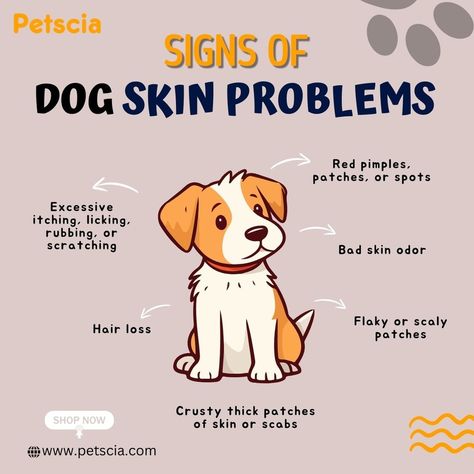 Recognizing signs of skin problems in dogs is essential for ensuring their health and comfort. Common indicators include excessive scratching, licking, or biting at the skin, which can lead to redness, inflammation, and even open sores. You might notice dry, flaky patches or areas of hair loss. Other symptoms can include an unusual odor, bumps, rashes, or hot spots. --- 🌐 https://petscia.com/ . . . . #doghealth #dogskincare #petcare #doglover #pethealth #vetcare #dogsymptoms #dogwellness #pet... Redness Pimple, Dog Hot Spots, Dog Skin Problem, Dog Skin Care, Dog Wellness, Dog Itching, Dog Health Tips, Pet Wellness, Dog Skin