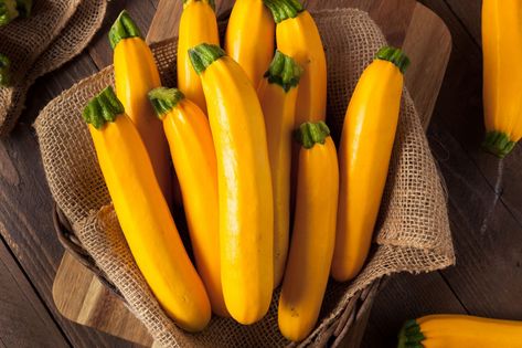 10 Types of Summer Squash and How to Cook With Them Golden Zucchini, Yellow Zucchini, Zucchini Plants, Green Zucchini, Squash Varieties, Squash Seeds, Garden Labels, Zucchini Squash, Heirloom Vegetables