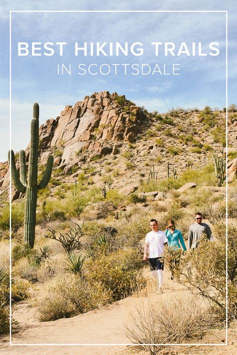 Hiking Near Scottsdale Az, Scottsdale Hikes, Cactus Heart, Hiking Ideas, Arizona Trip, Arizona Living, Scottsdale Bachelorette, Girls Trips, Arizona Vacation