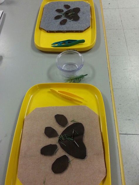 Vet/pet clinic- boards are felt and vinyl, get the "thorns" out of the paw. Use misc. things such nails or pine needles as thorns. Great fine motor skills with tweezers Pet Groomer Dramatic Play, Vets Eyfs, Pet Study, Pet Theme, Pets Preschool Theme, Community Helpers Theme, Community Helpers Preschool, Aesop's Fables, Dramatic Play Preschool