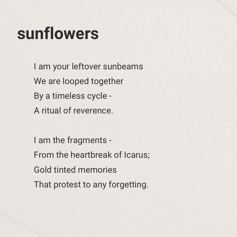 Sunflower Poetry, Sunflower Poem, Poem About Sunflowers, Hopeful Romantic, Sunflower Quotes, Miles Morales, Im Trying, Sunflower, Poetry