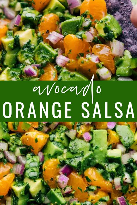 Orange Avocado Salad, Mandarin Orange Salsa, Avocado Mango Salsa Recipe, Corn And Avocado Salsa Recipe, Mango Avacado Salad, Mandrian Orange Salad, Mango Tomato Avocado Salad, Tangerine Salad, Healthy Salsa Recipe